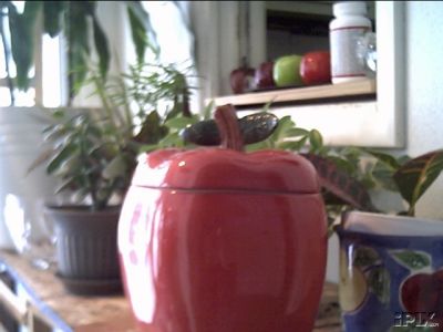 APPLE COOKIE JAR AND MATCHING S & P SHAKERS 